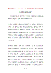 教师顶岗见习汇报材料.docx