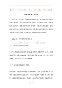 旅游局半年工作总结.docx
