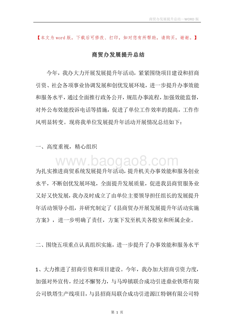 商贸办发展提升总结.docx_第1页