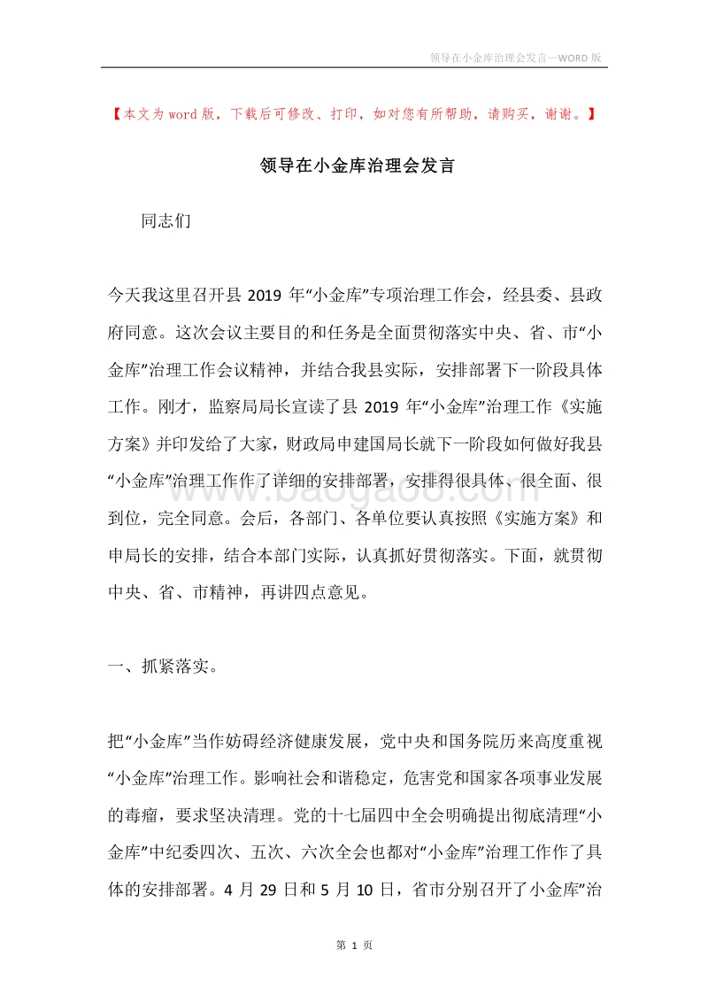 领导在小金库治理会发言.docx_第1页