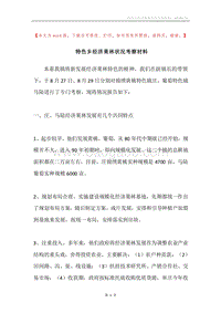 特色乡经济果林状况考察材料.docx