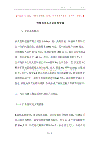 市重点龙头企业申报文稿.docx