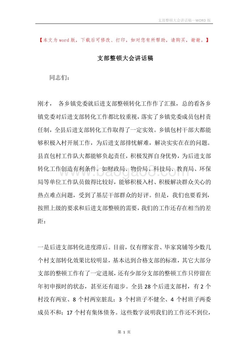 支部整顿大会讲话稿.docx_第1页