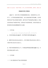 科技局专利工作要点.docx
