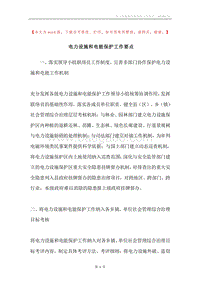 电力设施和电能保护工作要点.docx