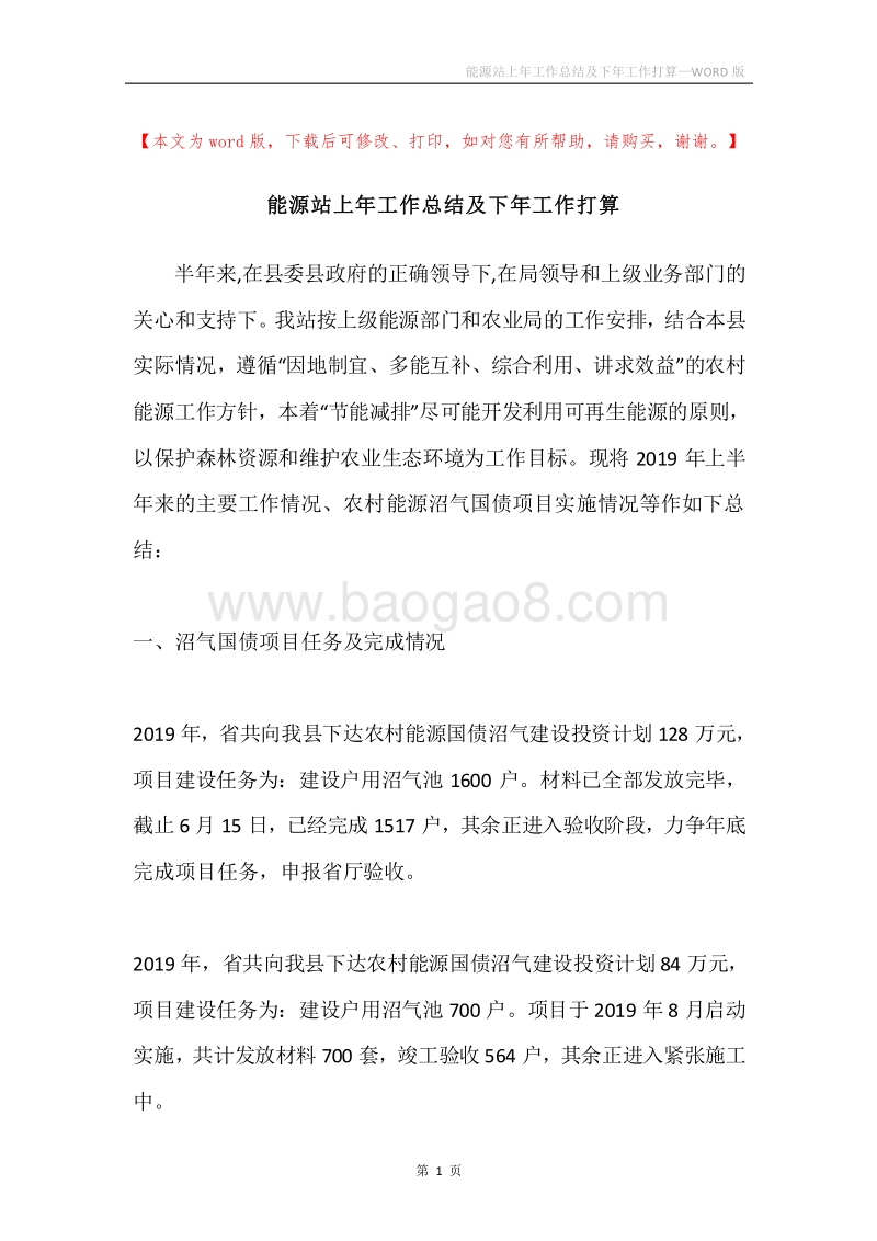 能源站上年工作总结及下年工作打算.docx_第1页