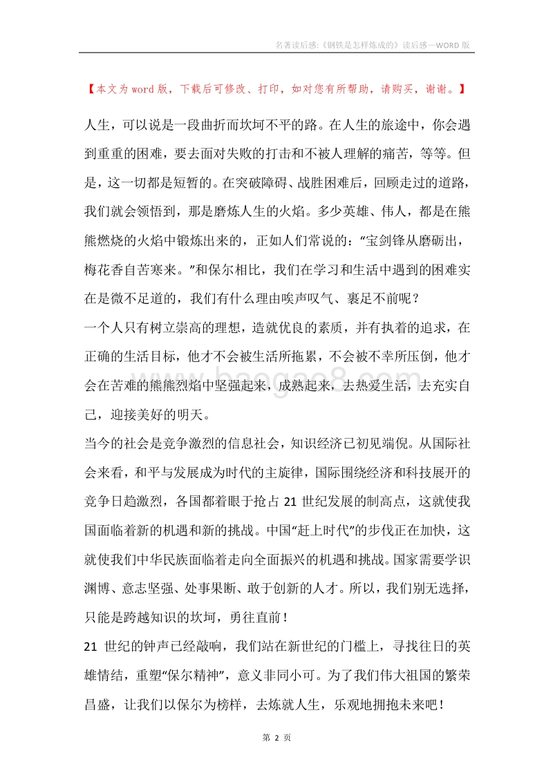 名著读后感-《钢铁是怎样炼成的》读后感.docx_第2页