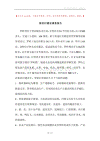 新农村建设调查报告.docx