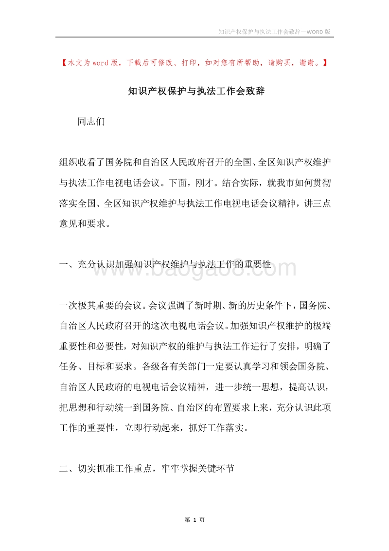 知识产权保护与执法工作会致辞.docx_第1页