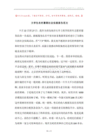 大学生农村暑期社会实践报告范文.docx