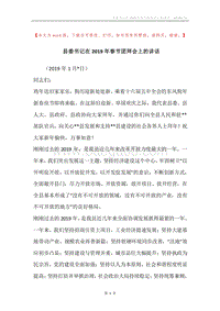 县委书记在2019年春节团拜会上的讲话.docx