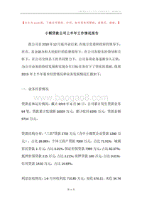 小额贷款公司上半年工作情况报告.docx