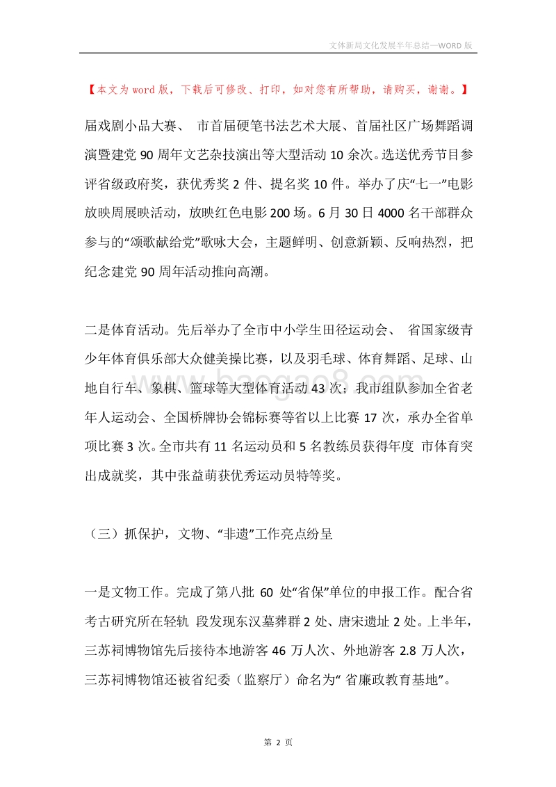 文体新局文化发展半年总结.docx_第2页