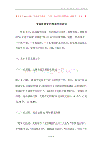 文体新局文化发展半年总结.docx