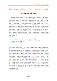 林业站森林防火典型事迹.docx