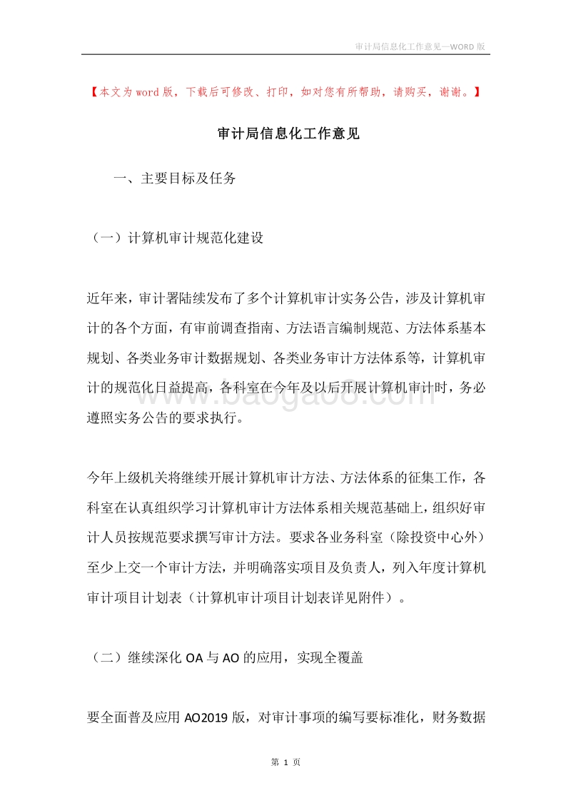 审计局信息化工作意见.docx_第1页