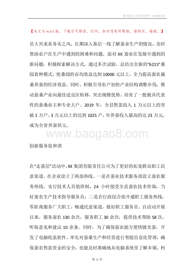 XX集团公司典型材料.docx_第2页