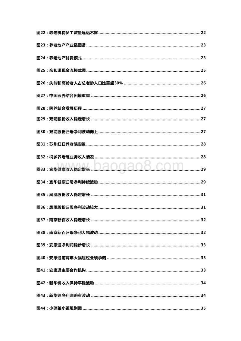 2019老龄社会养老行业发展分析报告.doc_第5页