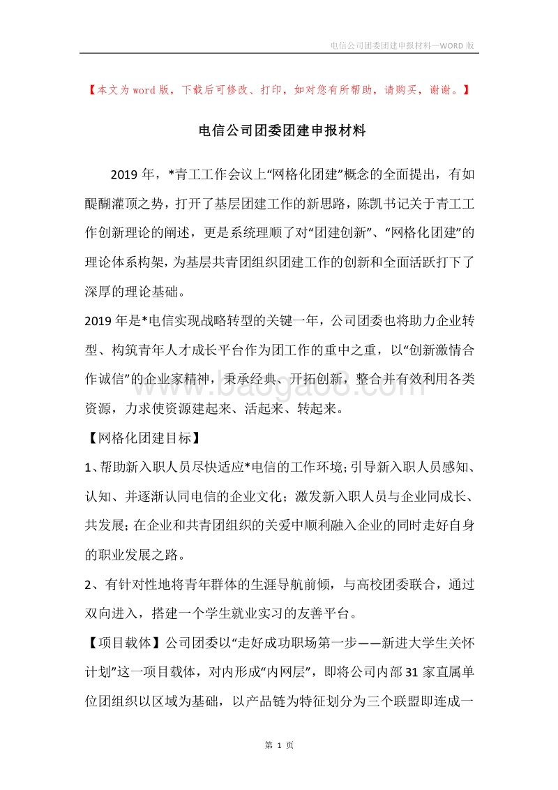 电信公司团委团建申报材料.docx_第1页