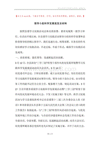 领导小组科学发展观发言材料.docx