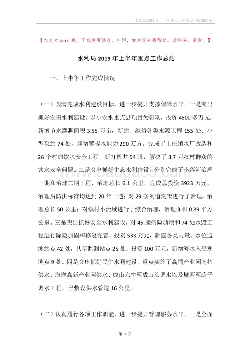 水利局2019年上半年重点工作总结.docx_第1页