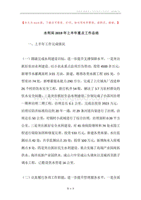 水利局2019年上半年重点工作总结.docx