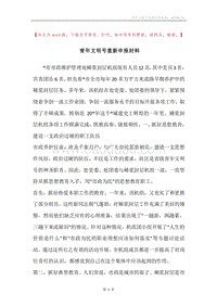 青年文明号重新申报材料.docx