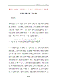 领导在苹果促销工作会讲话.docx