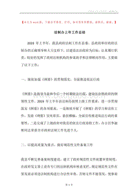 法制办上年工作总结.docx