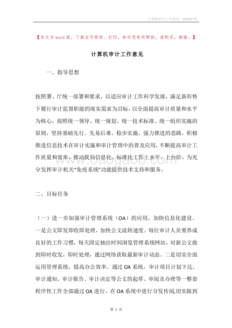 计算机审计工作意见.docx_第1页