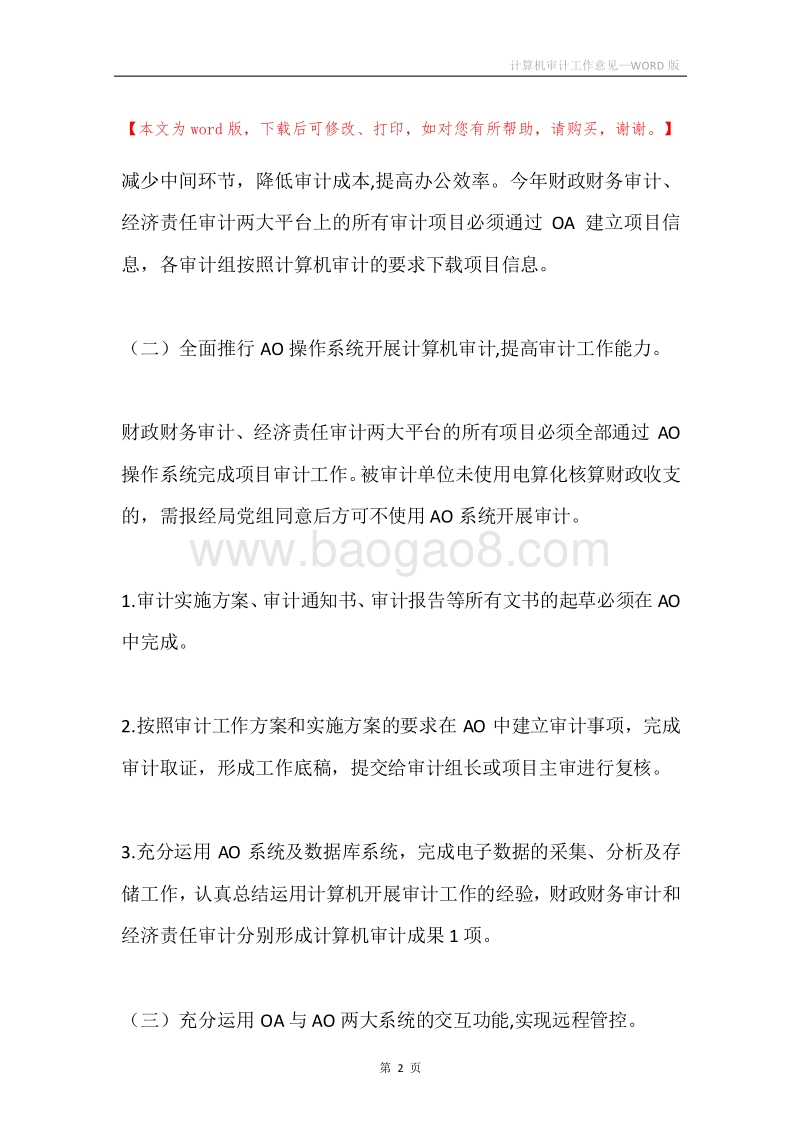 计算机审计工作意见.docx_第2页