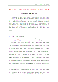 发改委项目稽察情况总结.docx