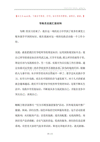 导购员实践汇报材料_1.docx