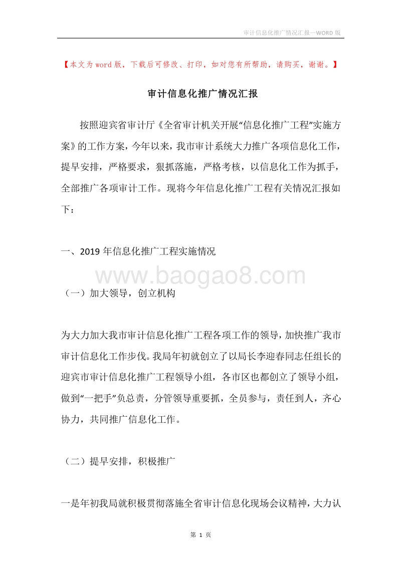 审计信息化推广情况汇报.docx_第1页