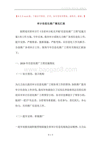 审计信息化推广情况汇报.docx