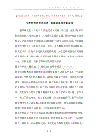 少数民族代表话机遇：共建共享和谐新家园.docx