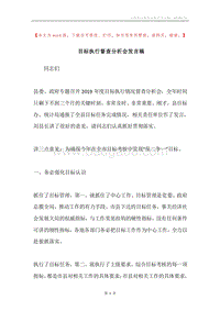 目标执行督查分析会发言稿.docx