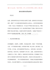 县长在采矿处罚会讲话.docx