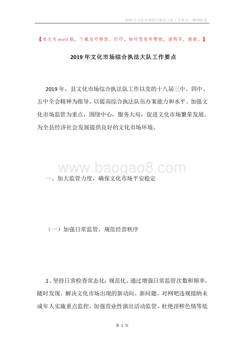 2019年文化市场综合执法大队工作要点.docx_第1页