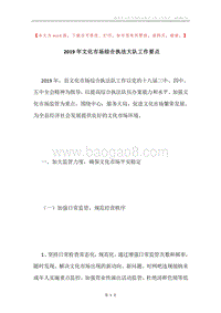 2019年文化市场综合执法大队工作要点.docx
