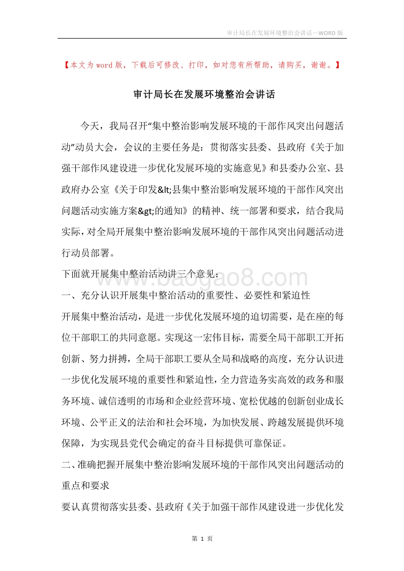 审计局长在发展环境整治会讲话.docx_第1页