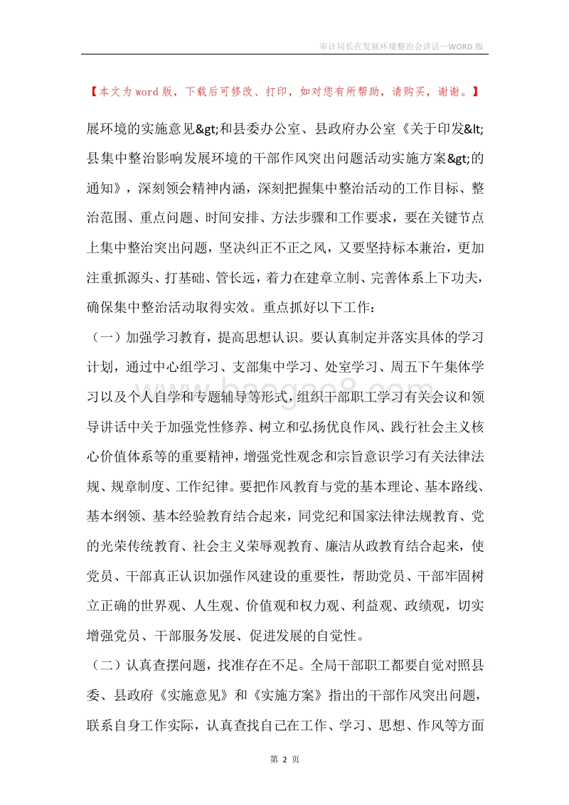 审计局长在发展环境整治会讲话.docx_第2页