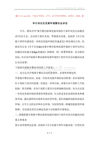 审计局长在发展环境整治会讲话.docx