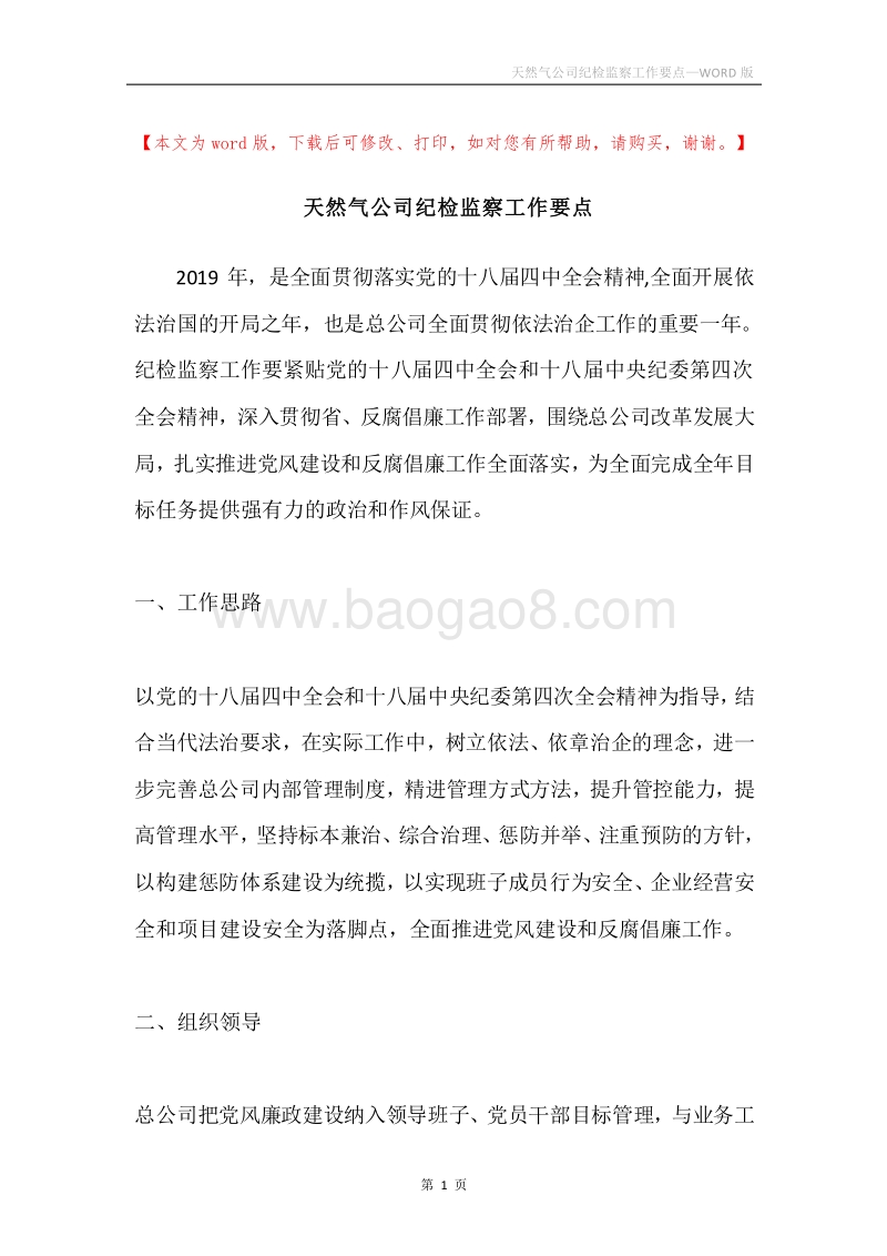 天然气公司纪检监察工作要点.docx_第1页