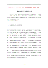 镇2019年上年妇联工作总结.docx