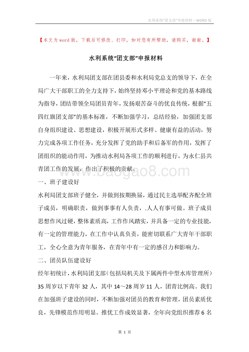 水利系统“团支部”申报材料.docx_第1页