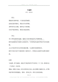 《马嵬驿》原文、译文、注释及赏析.docx