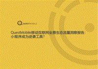 移动互联网全景生态流量洞察报告.pdf