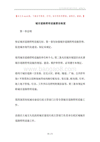 城市道路照明设施管治制度.docx