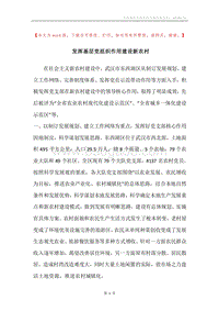 发挥基层党组织作用建设新农村.docx